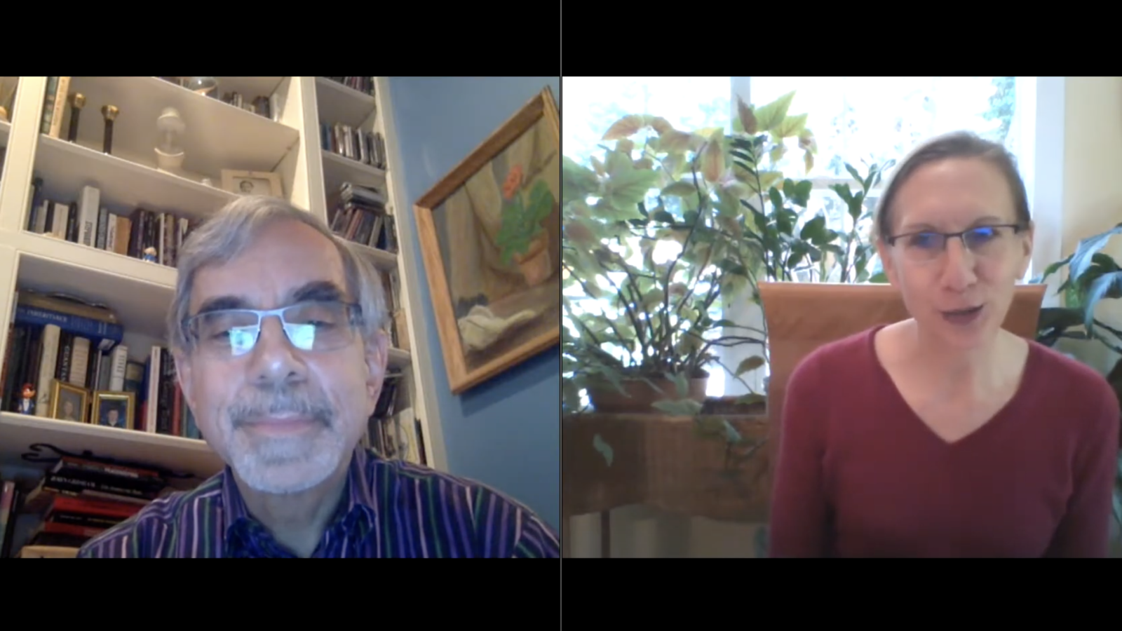 Professors Anthony Arend and Elizabeth Stanley in a webinar