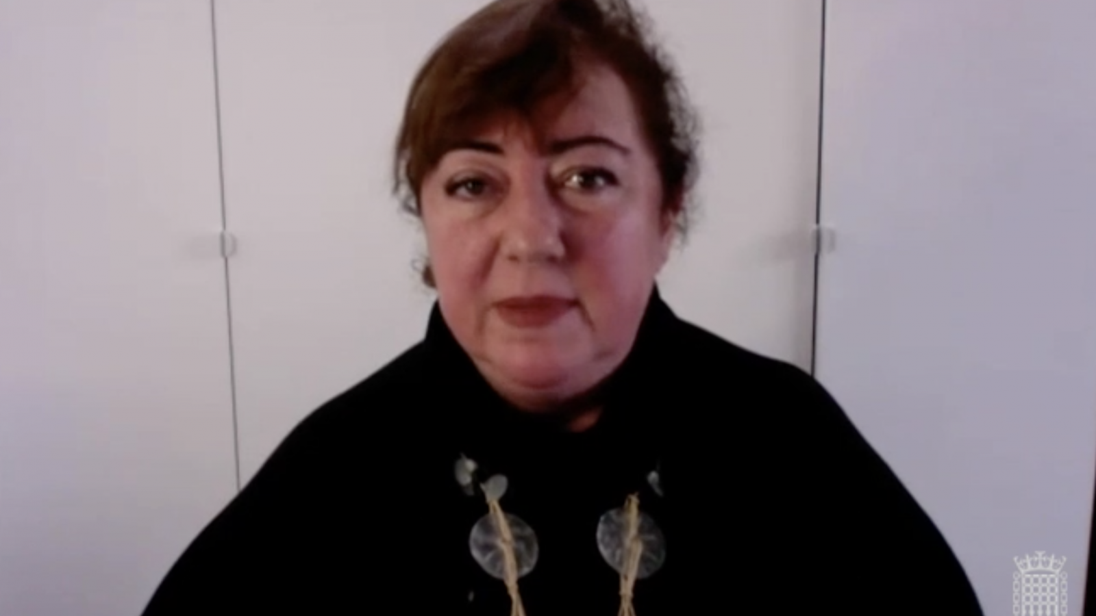 A screenshot of Professor Shahrbanou Tadjbakhsh